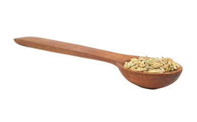 Dry fennel in spoon