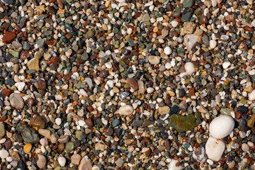Stones texture. Background the damp multi-colored pebbles close up soft focus from on the pebbly beach in cloudy weather.