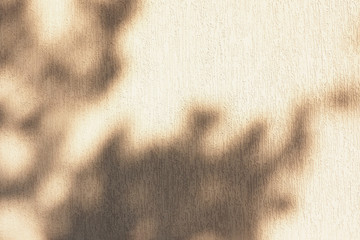 Abstract background and texture of a plastered wall in light brown with bark beetle texture and...