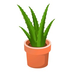 Aloe vera houseplant icon. Cartoon of aloe vera houseplant vector icon for web design isolated on white background