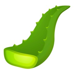 Aloe leaf icon. Cartoon of aloe leaf vector icon for web design isolated on white background