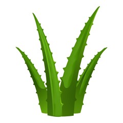 Green aloe vera icon. Cartoon of green aloe vera vector icon for web design isolated on white background
