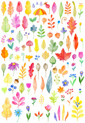 Set of autumn watercolor flowers and leaves