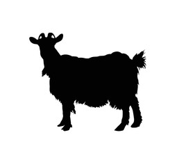 Silhouette of horned goat. Badge.