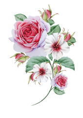 Fototapeta premium Watercolor bouquet with flowers and leaves. Illustration. Hand drawn.