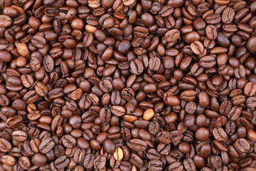 Coffee beans close-up
