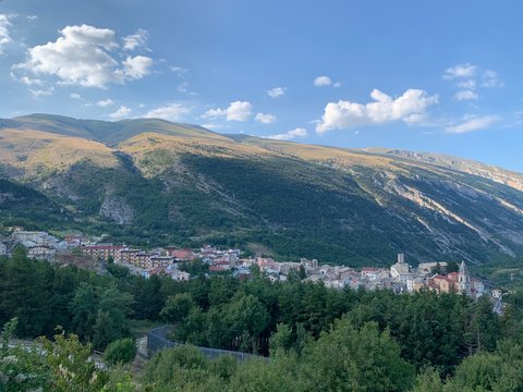 Palena 