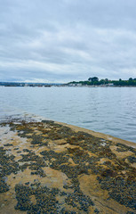 Nice landscape of the harbor in a fishing village in Galicia. Ares Spain