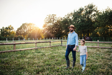 A father with small daughter walking outdoors on family farm, holding hands.