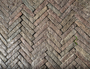 The sidewalk is paved with old medieval stones