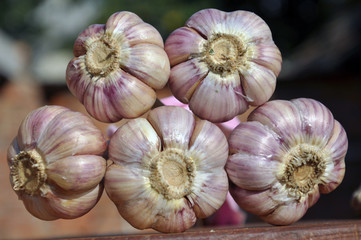 Linked crop of garlic heads