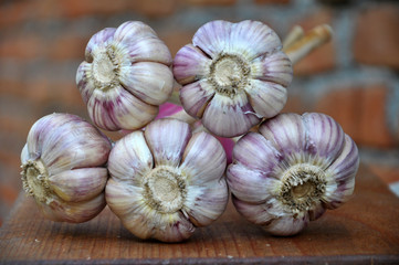 Linked crop of garlic heads
