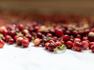 red cranberries, blurred foreground and background, close-up view, autumn harvest from swamp