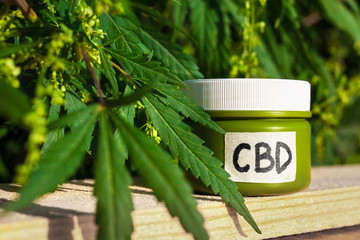 Cannabis medical products in jar with the inscription CBD with green leaves, CBD lotion on blurred...