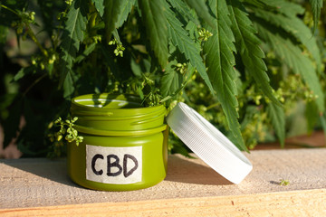 Medical marijuana cannabis CBD cream. Cannabis salve with hemp and CBD oil and marijuana leaves on green background
