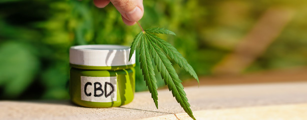 Cannabis medical products in jar with the inscription CBD with green leaves, CBD lotion on blurred...