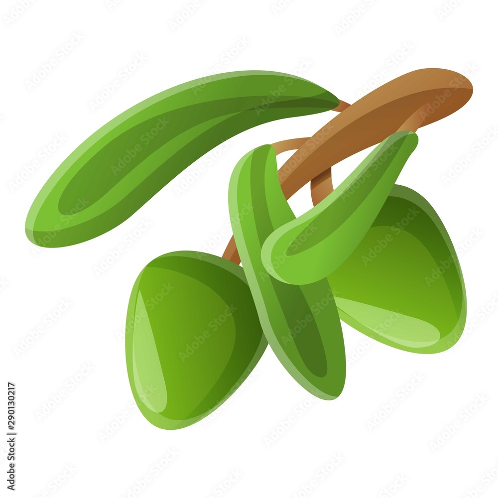 Poster tree olive branch icon. cartoon of tree olive branch vector icon for web design isolated on white ba