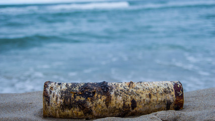 Kawałek drewna nad morzem 