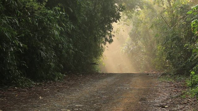 Ban Krang and Phoneon Thung campsites in Kaeng Krachan National Park phetchaburi province Thailand. 