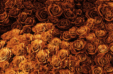 abstract background with flowers and leaves