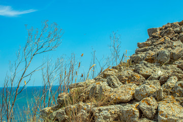 Seascape with dry grass. Part of the old fortress wall of Cape Kaliakra. Northern Black Sea Coast, Bulgaria.