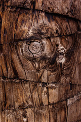 Wood, cut, wood texture drawing, natural, background
