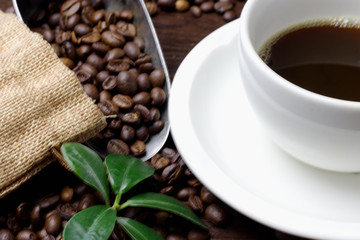 A cup of cappuccino with coffee bean as background