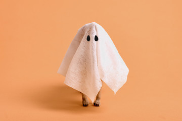 white sheet ghost with animal legs on a orange background. Funny halloween art. Copy space