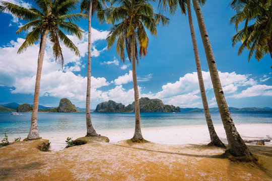 El Nido Beach Paradise: Pinagbuyutan Island with palm trees. Palawan, Philippines