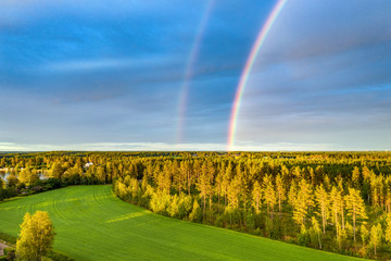 Drone photo, rainbow over summer pine tree forest,green wheat field, very clear skies and clean rainbow colors. Scandinavian nature are illuminated by evening sun.