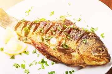 Fish.