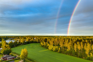 Drone photo, rainbow over summer pine tree forest,green wheat field, very clear skies and clean rainbow colors. Scandinavian nature are illuminated by evening sun.