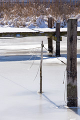 ice covered creek in winter southern maryland calvert county chesapeake beach usa - obrazy, fototapety, plakaty