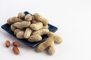 a group of shell peanuts on a blue plate