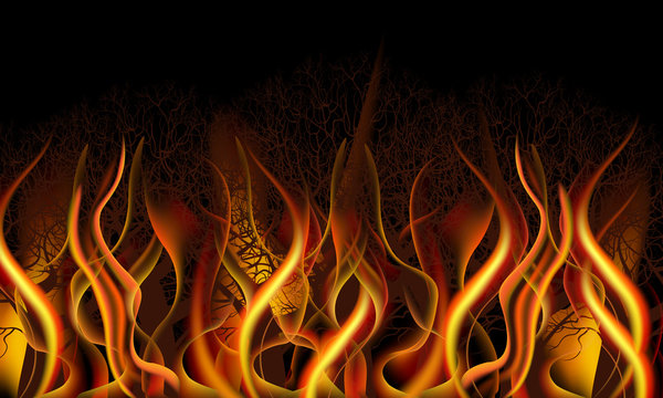 Illustration of flames igniting trees