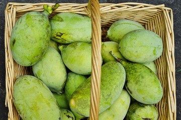 Basket of common pawpaw fruit (asimina triloba), also called custard apple