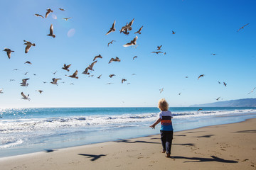 Happy and free boy on the beach with seagulls