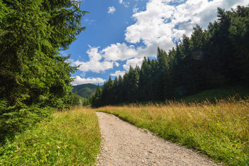 Jaworzynka Valley in Tatra mountains. Poland.