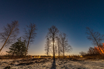 Full moon in clear sky shines over frozen Scandinavian wild forest, long exposure night photo, winter, virgin frozen landscape