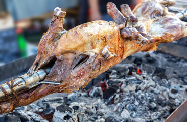 Cooking lamb carcass on a spit over hot charcoals