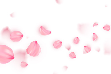 Banner with sakura on white background