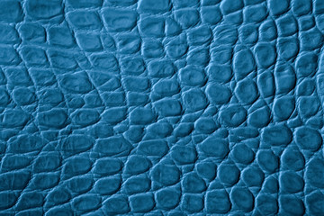 Texture of genuine leather close-up, turquoise blue color, embossed under the skin of reptile, croco. For modern pattern, wallpaper or banner design