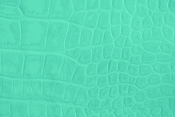 Texture of genuine leather close-up, light green mint color, embossed under the skin of reptile, croco. For modern pattern, wallpaper or banner design