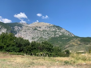 Palena 