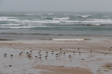 Beach in Brittany during a storm in winter