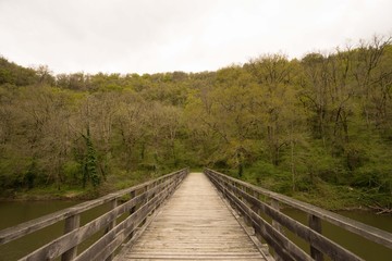 Fototapeta premium Pont en bois au dessus d'un lac, vers une forêt