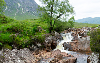 A tree and a mountain and a river.