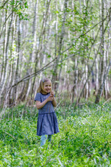 Pretty little smiling girl with blond hair in a striped blue dress in a birch forest on a green grass during a sunny day.