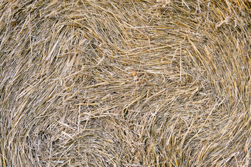 Natural background. The straw from the wheat is rolled up into a roll.