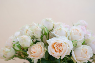 A bouquet of fresh tea and gently pink roses on a beige background.